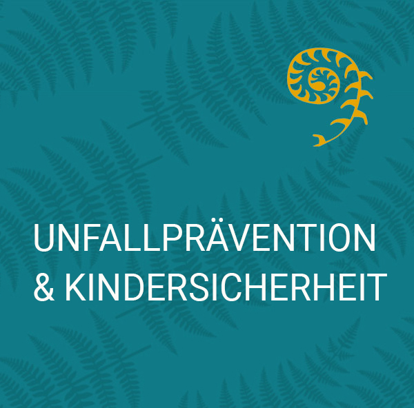 Familientraum Griesheim Kursangebot Unfallprävention und Kindersicherheit Übersicht